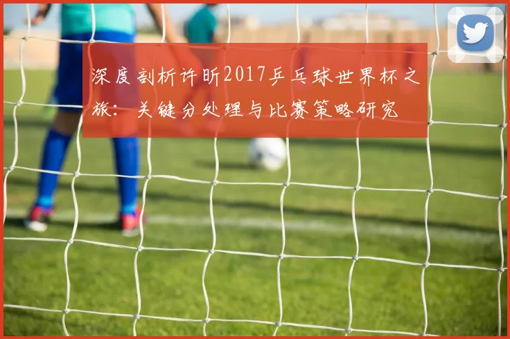 深度剖析许昕2017乒乓球世界杯之旅：关键分处理与比赛策略研究