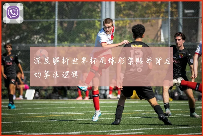 深度解析世界杯足球彩票赔率背后的算法逻辑