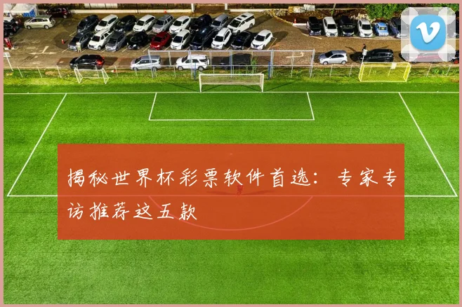 揭秘世界杯彩票软件首选:专家专访推荐这五款