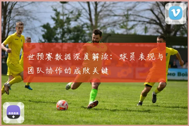 世预赛数据深度解读：球员表现与团队协作的成败关键