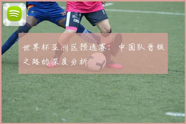 世界杯亚洲区预选赛:中国队晋级之路的深度分析