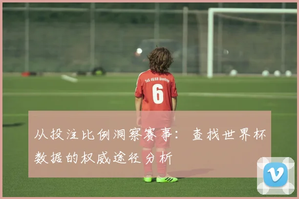 从投注比例洞察赛事:查找世界杯数据的权威途径分析