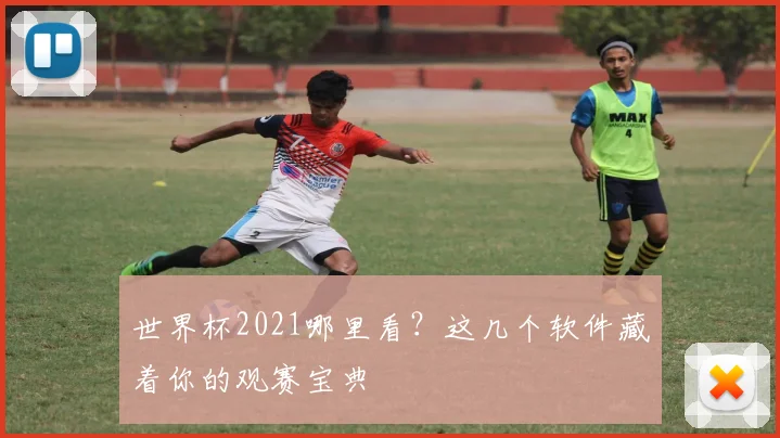 世界杯2021哪里看?这几个软件藏着你的观赛宝典