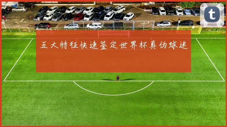 五大特征快速鉴定世界杯真伪球迷