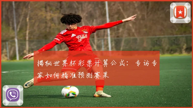 揭秘世界杯彩票计算公式：专访专家如何精准预测赛果