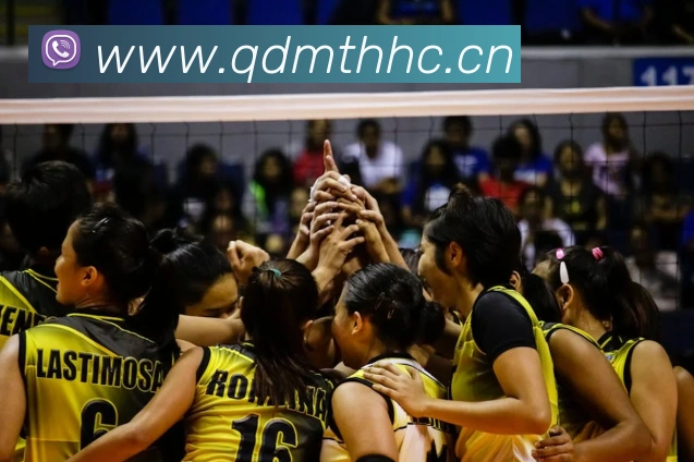 爱游戏官方网页入口服务体系